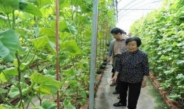 酒店吃瓜最新事件爆料是真的吗,最新爆料真相揭秘